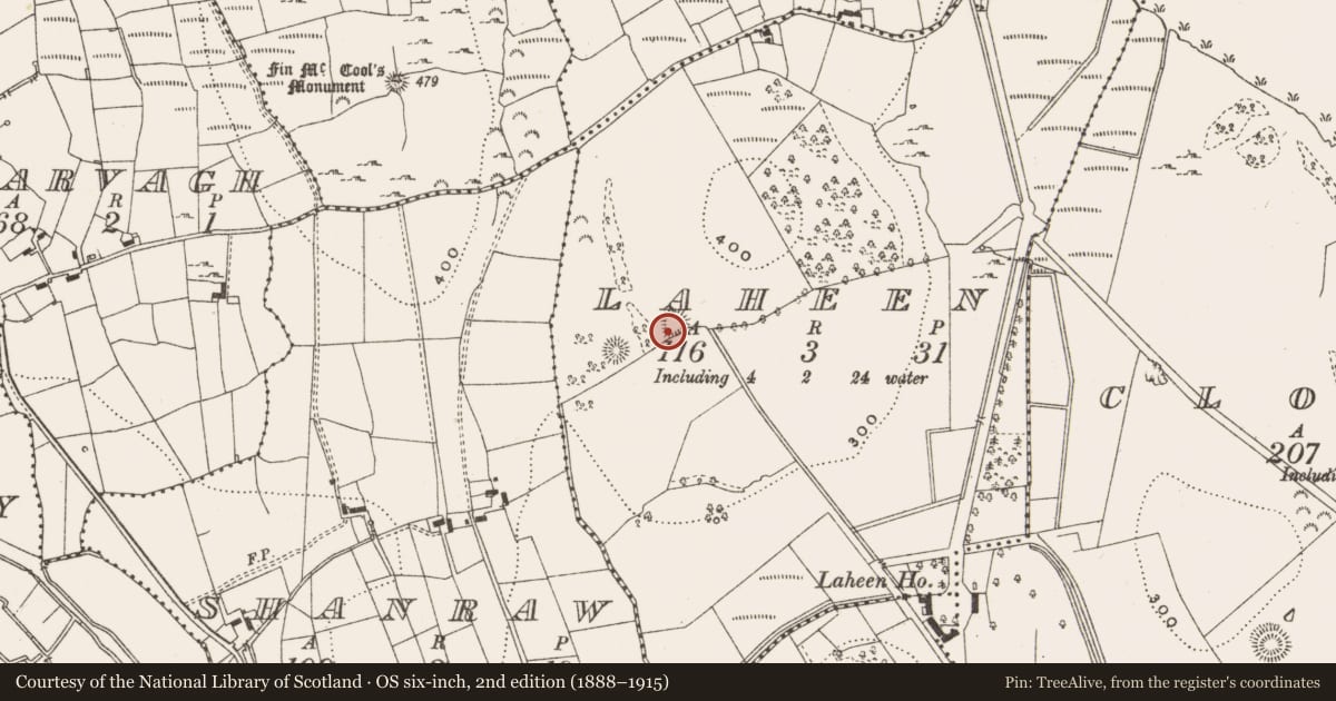 Ordnance Survey six-inch map, 2nd edition (1888–1915) covering the location of Ringfort - rath, Laheen, County Leitrim, with a pin at the register's coordinates