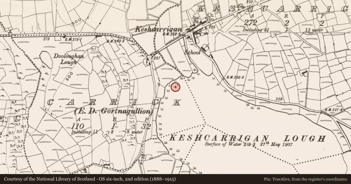Ordnance Survey six-inch map, 2nd edition (1888–1915) covering the location of Crannog, Carrick, County Leitrim, with a pin at the register's coordinates
