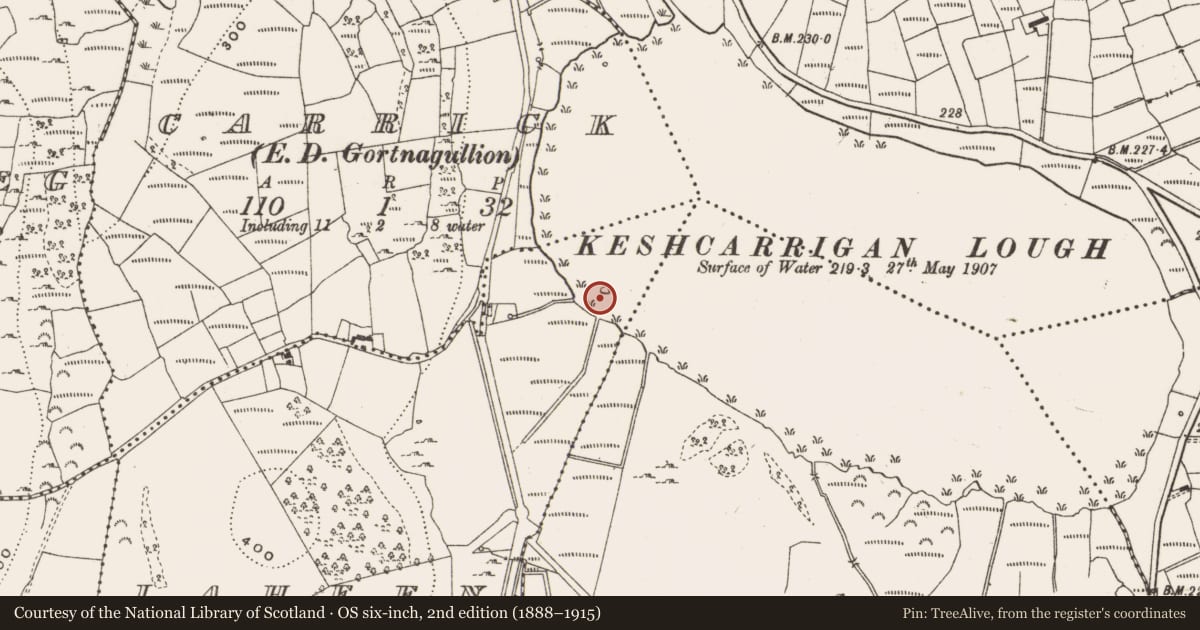 Ordnance Survey six-inch map, 2nd edition (1888–1915) covering the location of Crannog, Laheen, County Leitrim, with a pin at the register's coordinates