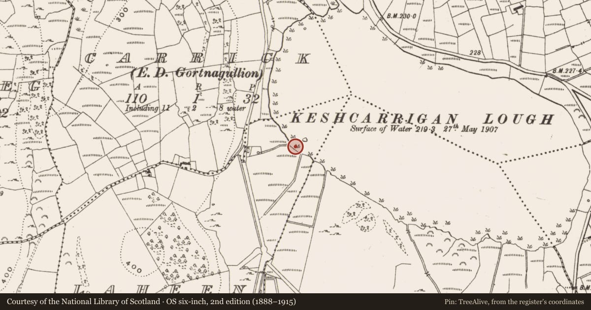 Ordnance Survey six-inch map, 2nd edition (1888–1915) covering the location of Causeway, Laheen, County Leitrim, with a pin at the register's coordinates