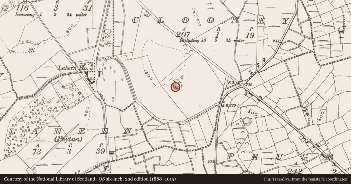 Ordnance Survey six-inch map, 2nd edition (1888–1915) covering the location of Ringfort - rath, Clooney, County Leitrim, with a pin at the register's coordinates