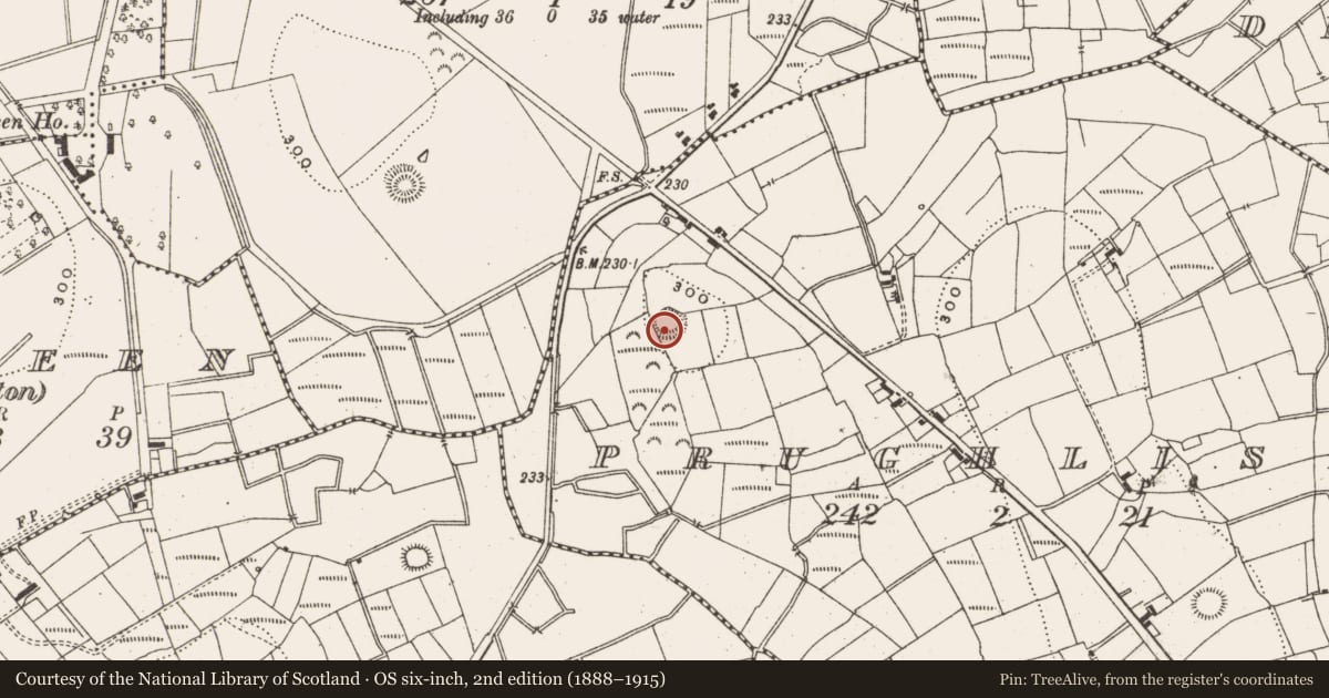 Ordnance Survey six-inch map, 2nd edition (1888–1915) covering the location of Ringfort - rath, Prughlish, County Leitrim, with a pin at the register's coordinates