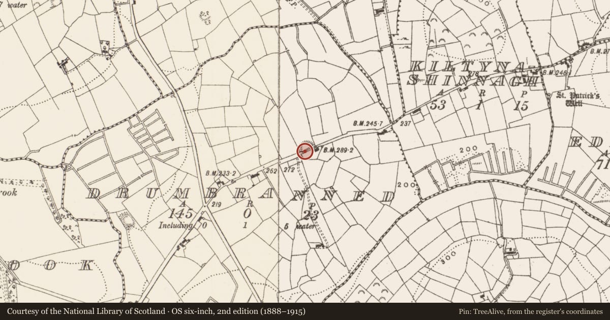 Ordnance Survey six-inch map, 2nd edition (1888–1915) covering the location of Ringfort - rath, Drumbranned, County Leitrim, with a pin at the register's coordinates