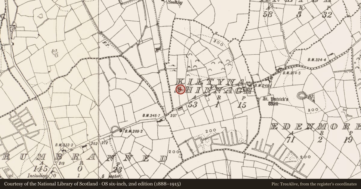 Ordnance Survey six-inch map, 2nd edition (1888–1915) covering the location of Ringfort - rath, Kiltynashinnagh, County Leitrim, with a pin at the register's coordinates