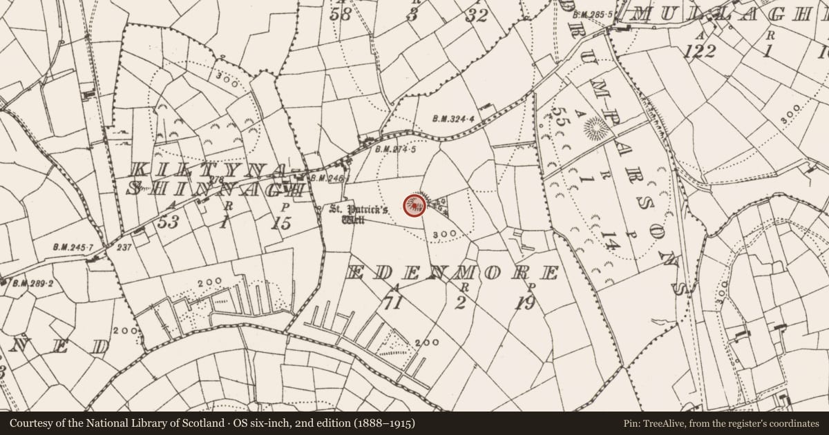 Ordnance Survey six-inch map, 2nd edition (1888–1915) covering the location of Ringfort - rath, Edenmore, County Leitrim, with a pin at the register's coordinates