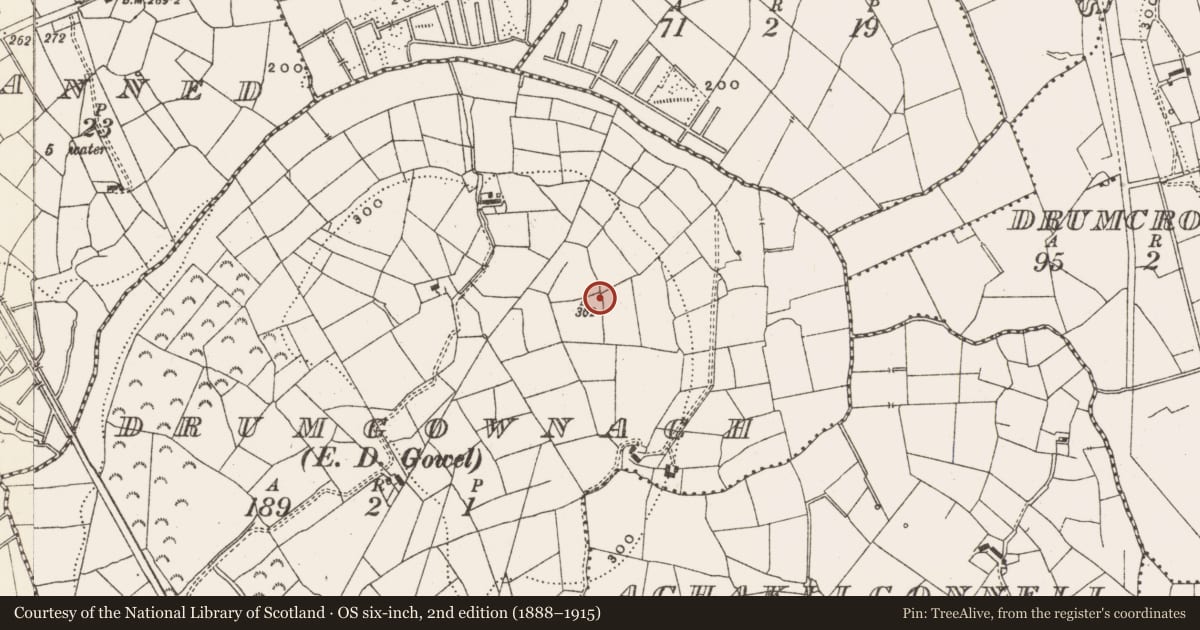 Ordnance Survey six-inch map, 2nd edition (1888–1915) covering the location of Earthwork, Drumgownagh, County Leitrim, with a pin at the register's coordinates