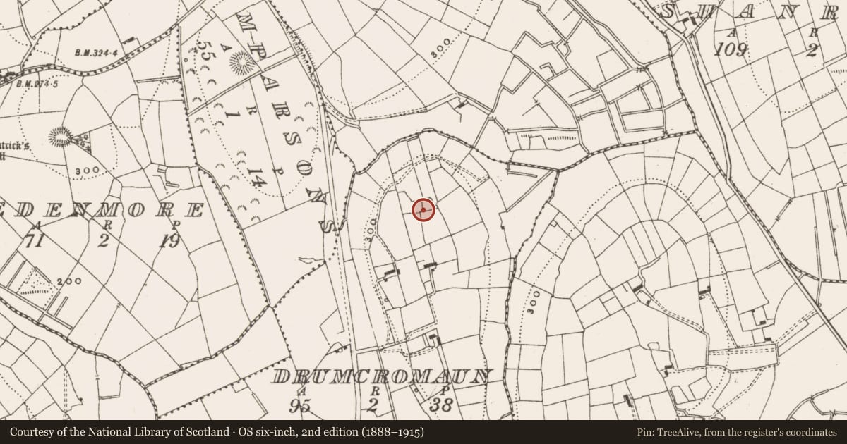 Ordnance Survey six-inch map, 2nd edition (1888–1915) covering the location of Ringfort - rath, Drumcromaun, County Leitrim, with a pin at the register's coordinates