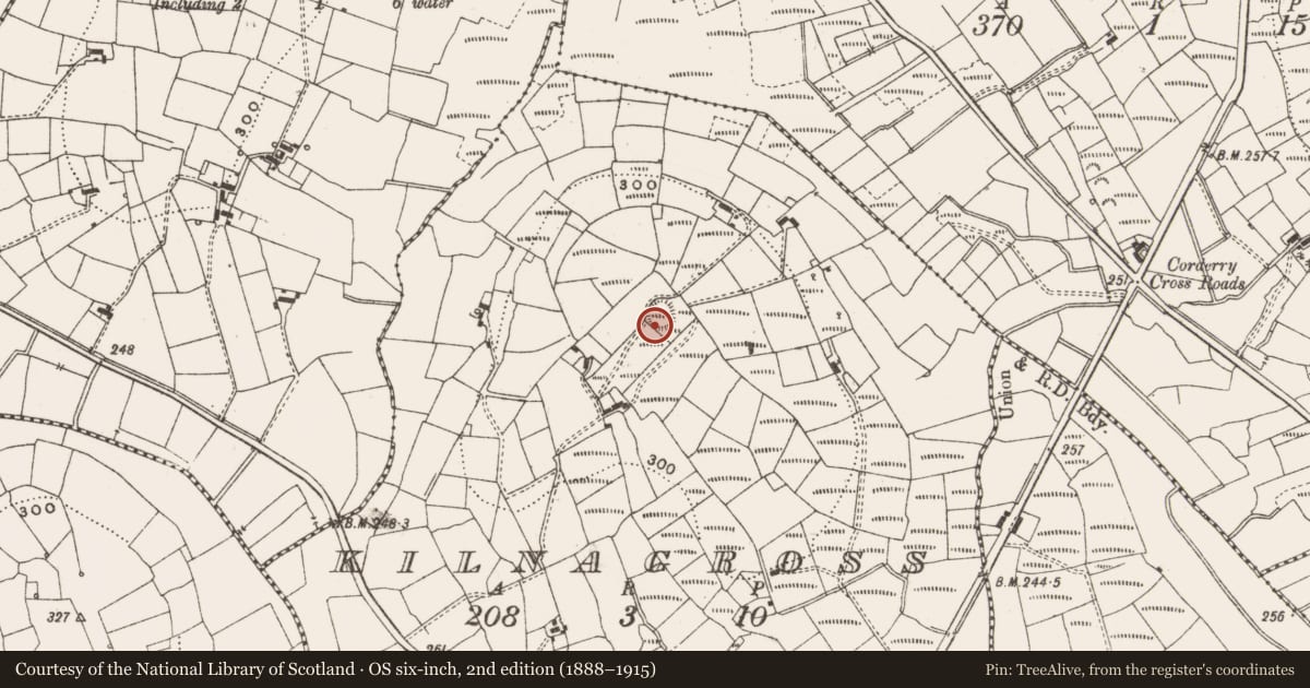 Ordnance Survey six-inch map, 2nd edition (1888–1915) covering the location of Ringfort - rath, Kilnagross, County Leitrim, with a pin at the register's coordinates