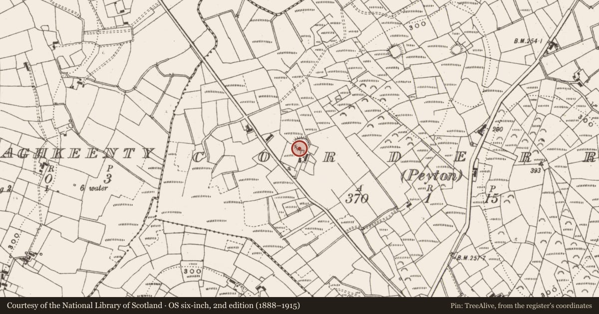 Ordnance Survey six-inch map, 2nd edition (1888–1915) covering the location of Ringfort - rath, Corderry (Peyton), County Leitrim, with a pin at the register's coordinates