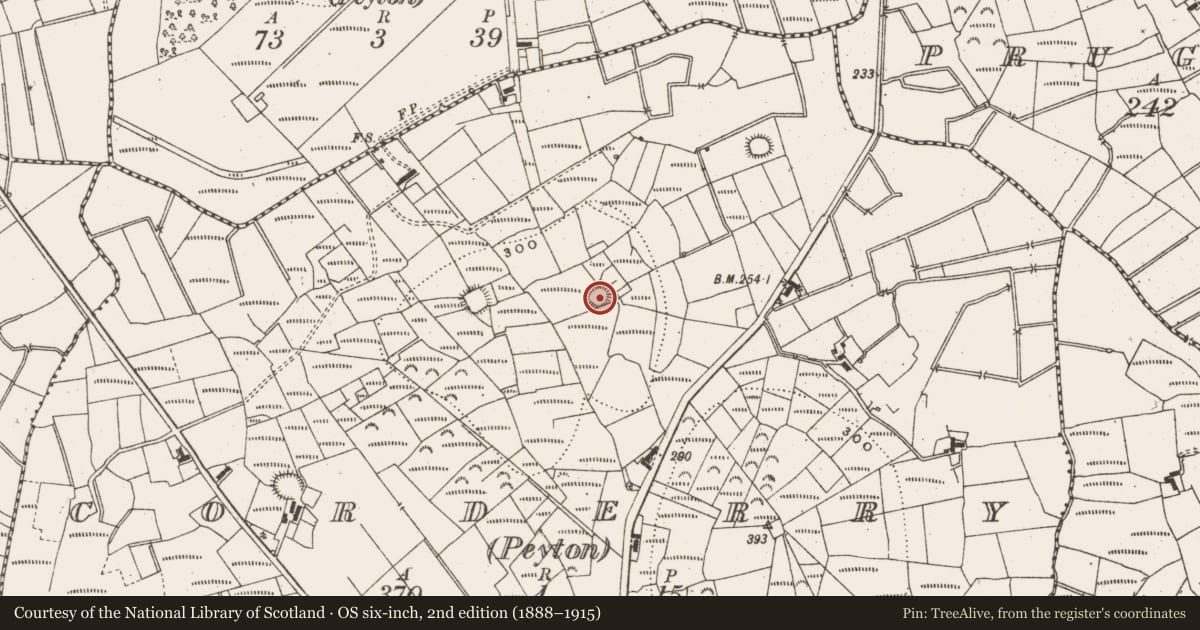 Ordnance Survey six-inch map, 2nd edition (1888–1915) covering the location of Ringfort - rath, Corderry (Peyton), County Leitrim, with a pin at the register's coordinates