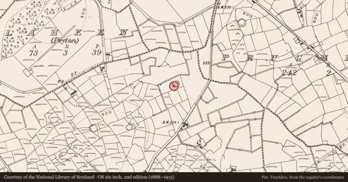 Ordnance Survey six-inch map, 2nd edition (1888–1915) covering the location of Ringfort - rath, Corderry (Peyton), County Leitrim, with a pin at the register's coordinates