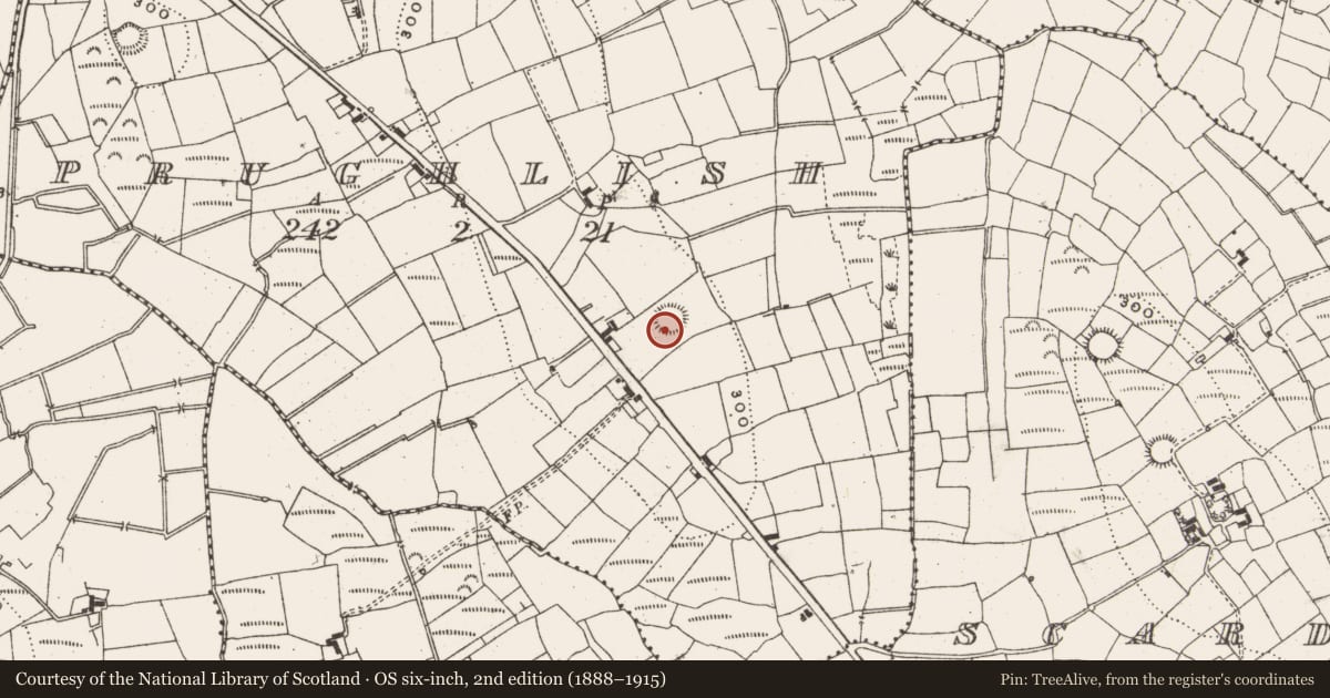 Ordnance Survey six-inch map, 2nd edition (1888–1915) covering the location of Ringfort - rath, Prughlish, County Leitrim, with a pin at the register's coordinates