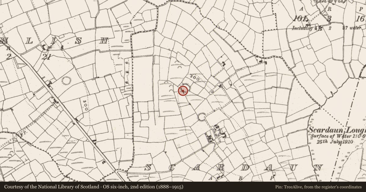 Ordnance Survey six-inch map, 2nd edition (1888–1915) covering the location of Ringfort - rath, Scardaun, County Leitrim, with a pin at the register's coordinates