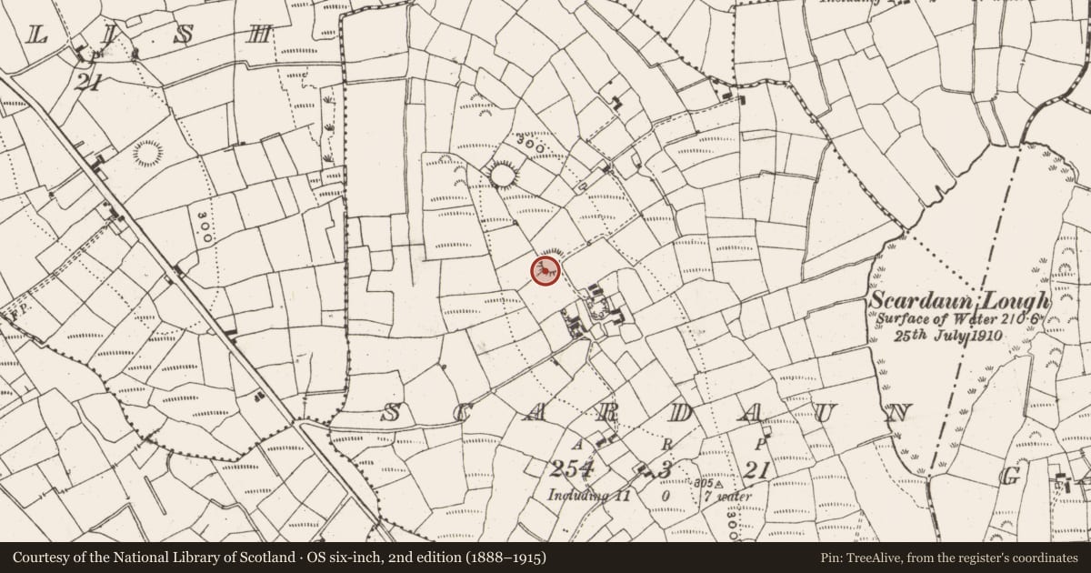 Ordnance Survey six-inch map, 2nd edition (1888–1915) covering the location of Ringfort - rath, Scardaun, County Leitrim, with a pin at the register's coordinates