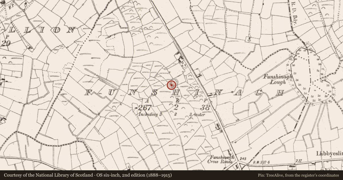 Ordnance Survey six-inch map, 2nd edition (1888–1915) covering the location of Ringfort - rath, Funshinagh, County Leitrim, with a pin at the register's coordinates