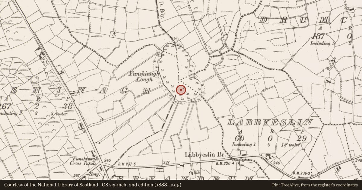 Ordnance Survey six-inch map, 2nd edition (1888–1915) covering the location of Crannog, Breandrum (King), County Leitrim, with a pin at the register's coordinates