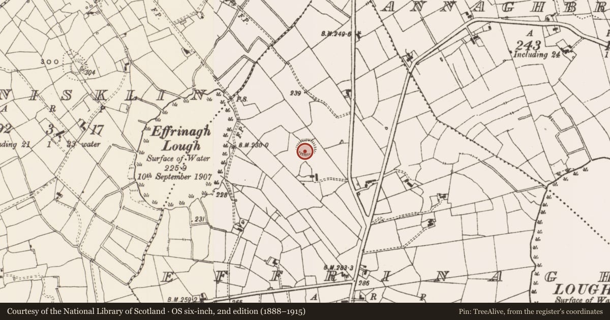 Ordnance Survey six-inch map, 2nd edition (1888–1915) covering the location of Ringfort - rath, Effrinagh, County Leitrim, with a pin at the register's coordinates