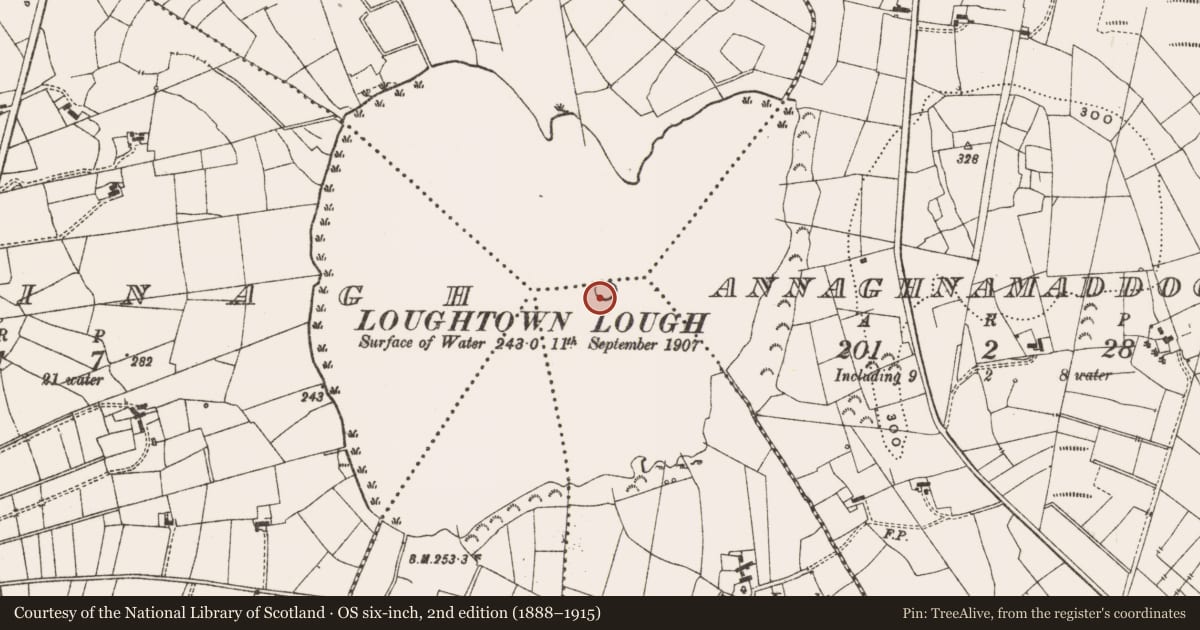 Ordnance Survey six-inch map, 2nd edition (1888–1915) covering the location of Crannog, Lisdromarea North, County Leitrim, with a pin at the register's coordinates