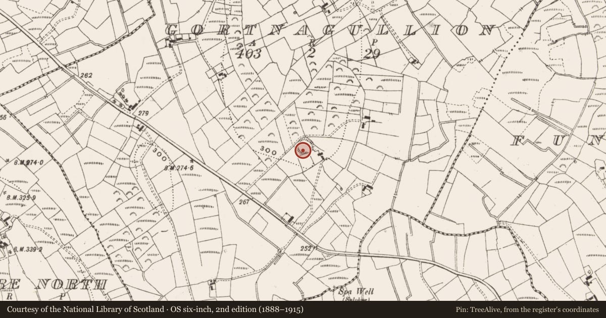 Ordnance Survey six-inch map, 2nd edition (1888–1915) covering the location of Ringfort - rath, Gortnagullion, County Leitrim, with a pin at the register's coordinates