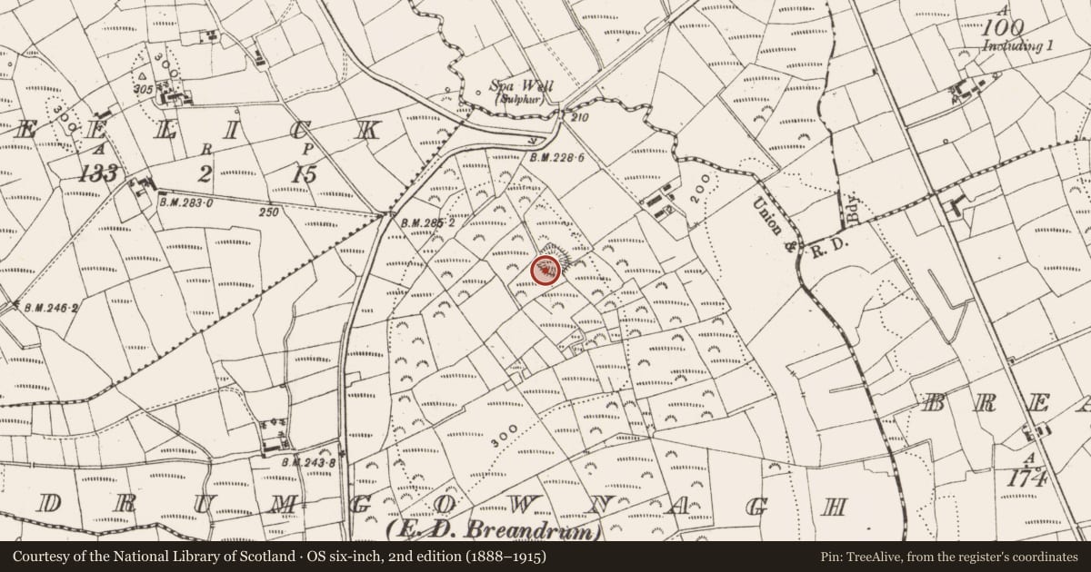 Ordnance Survey six-inch map, 2nd edition (1888–1915) covering the location of Ringfort - rath, Drumgownagh, County Leitrim, with a pin at the register's coordinates