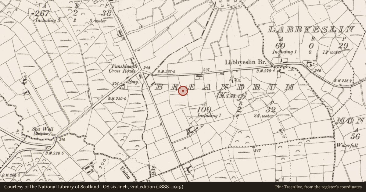 Ordnance Survey six-inch map, 2nd edition (1888–1915) covering the location of Ringfort - unclassified, Breandrum (King), County Leitrim, with a pin at the register's coordinates