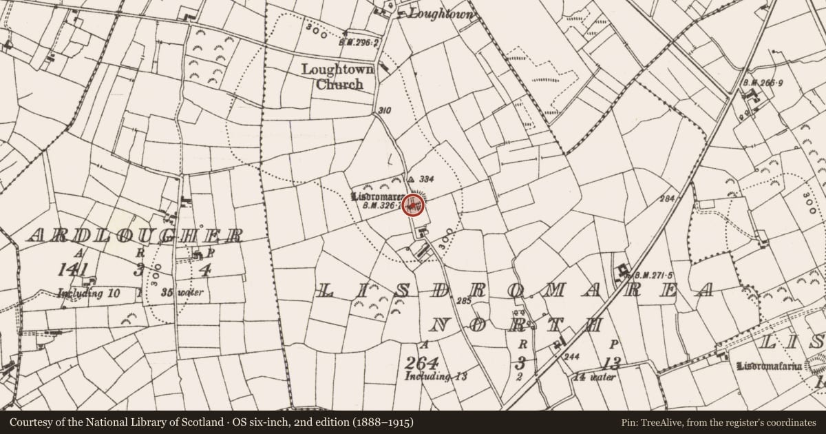 Ordnance Survey six-inch map, 2nd edition (1888–1915) covering the location of Ringfort - rath, Lisdromarea North, County Leitrim, with a pin at the register's coordinates