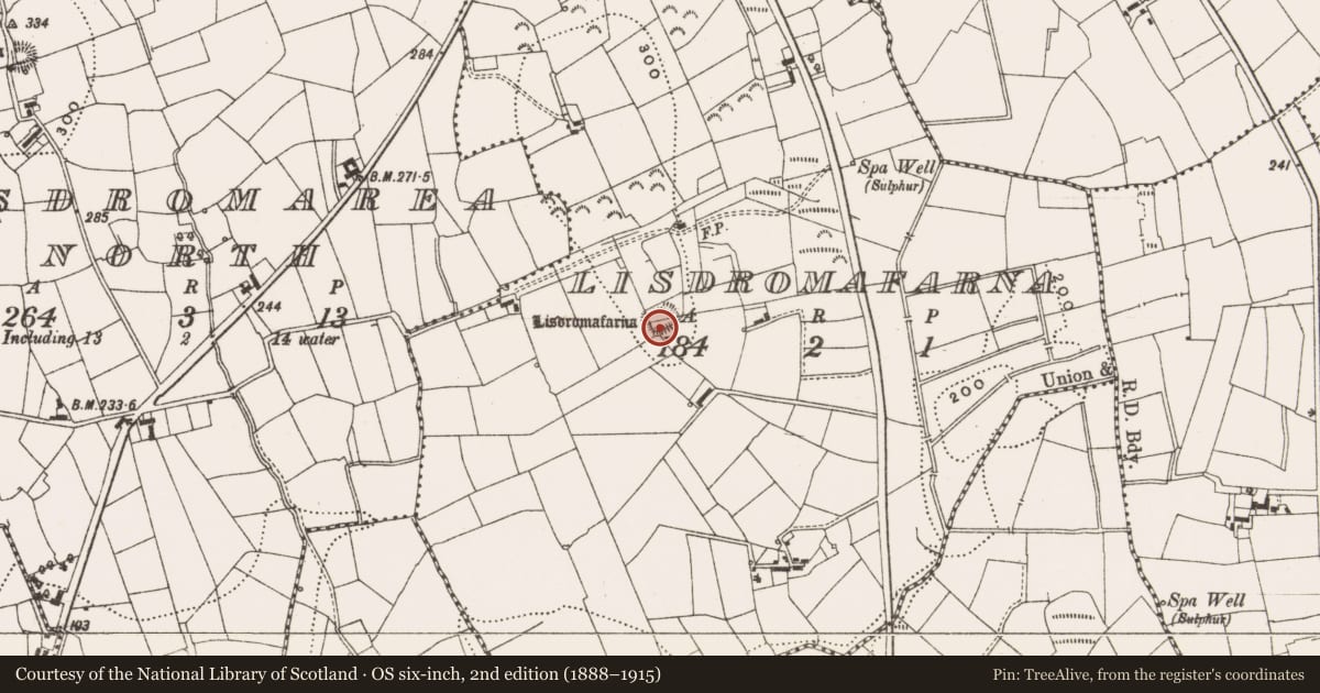Ordnance Survey six-inch map, 2nd edition (1888–1915) covering the location of Ringfort - rath, Lisdromafarna, County Leitrim, with a pin at the register's coordinates