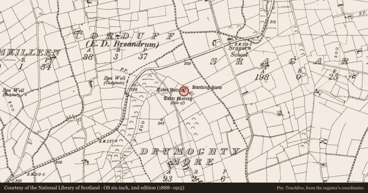 Ordnance Survey six-inch map, 2nd edition (1888–1915) covering the location of Memorial stone, Drumoghty More, County Leitrim, with a pin at the register's coordinates