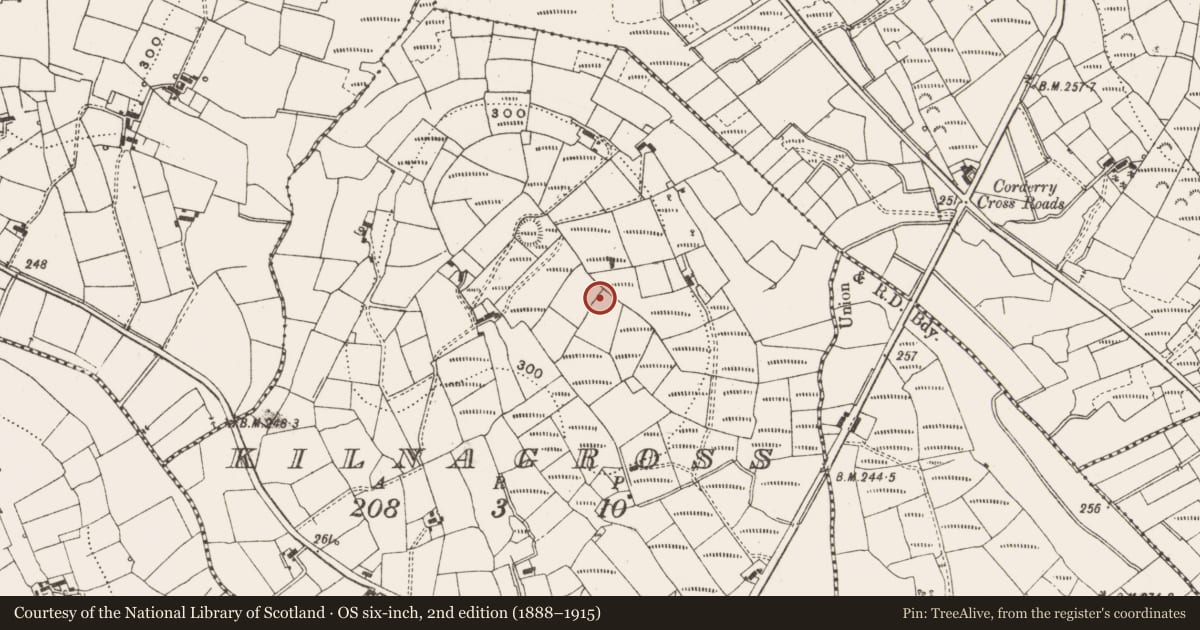 Ordnance Survey six-inch map, 2nd edition (1888–1915) covering the location of Ringfort - rath, Kilnagross, County Leitrim, with a pin at the register's coordinates