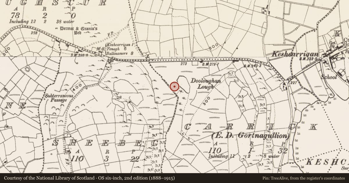 Ordnance Survey six-inch map, 2nd edition (1888–1915) covering the location of Crannog, Carrick, County Leitrim, with a pin at the register's coordinates