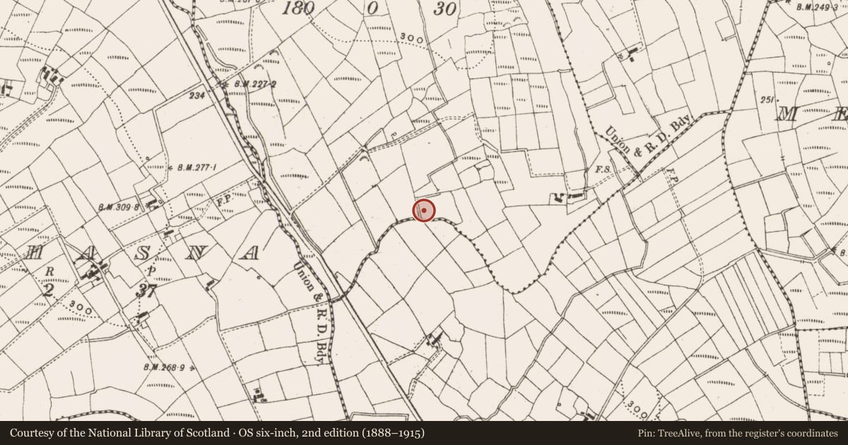 Ordnance Survey six-inch map, 2nd edition (1888–1915) covering the location of Enclosure, Gortanure North, County Leitrim, with a pin at the register's coordinates