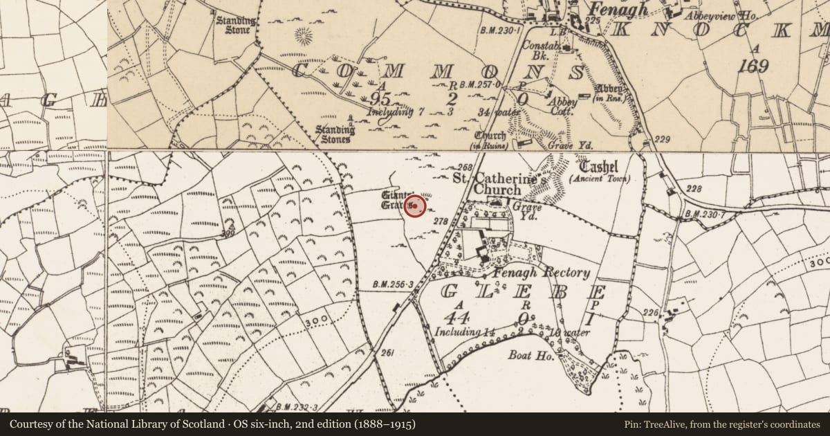 Ordnance Survey six-inch map, 2nd edition (1888–1915) covering the location of Megalithic tomb - court tomb, Commons, County Leitrim, with a pin at the register's coordinates