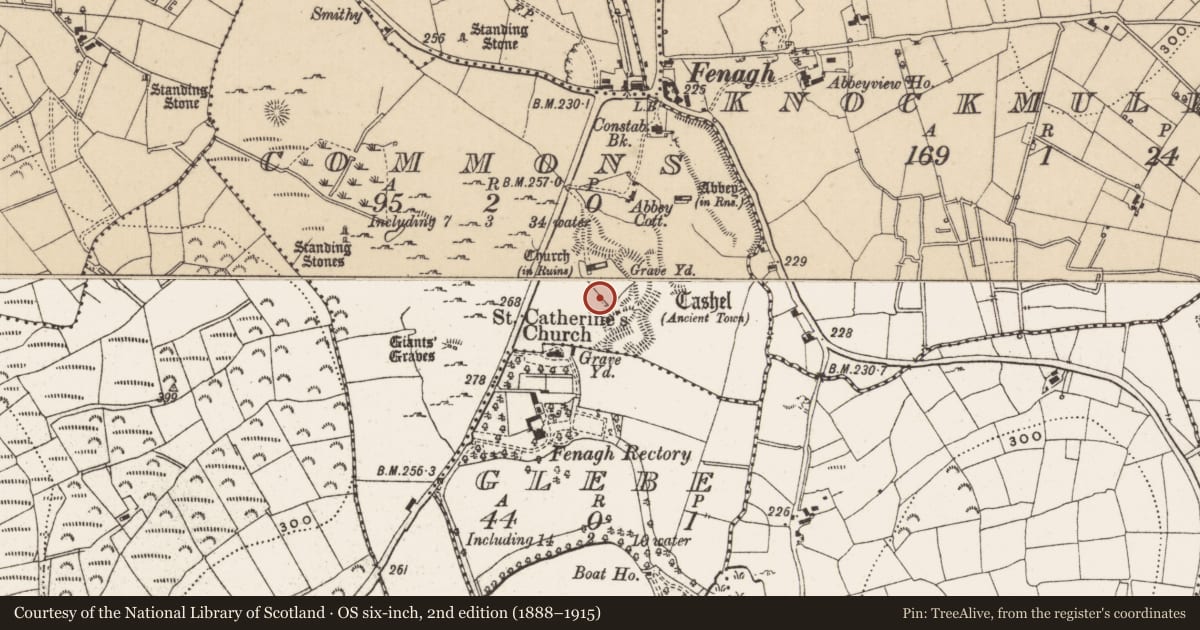 Ordnance Survey six-inch map, 2nd edition (1888–1915) covering the location of Graveyard, Commons, County Leitrim, with a pin at the register's coordinates