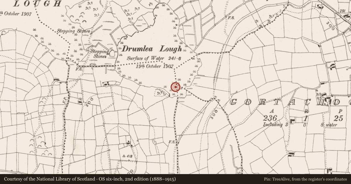 Ordnance Survey six-inch map, 2nd edition (1888–1915) covering the location of Crannog, Gortachoosh, County Leitrim, with a pin at the register's coordinates