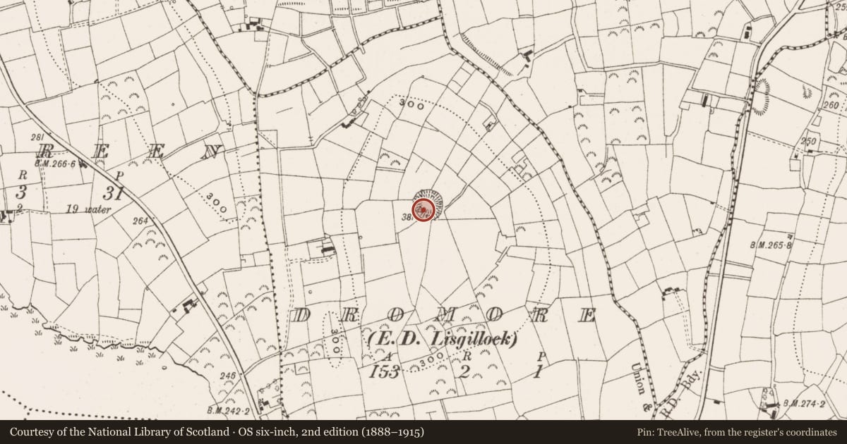 Ordnance Survey six-inch map, 2nd edition (1888–1915) covering the location of Ringfort - rath, Dromore, County Leitrim, with a pin at the register's coordinates