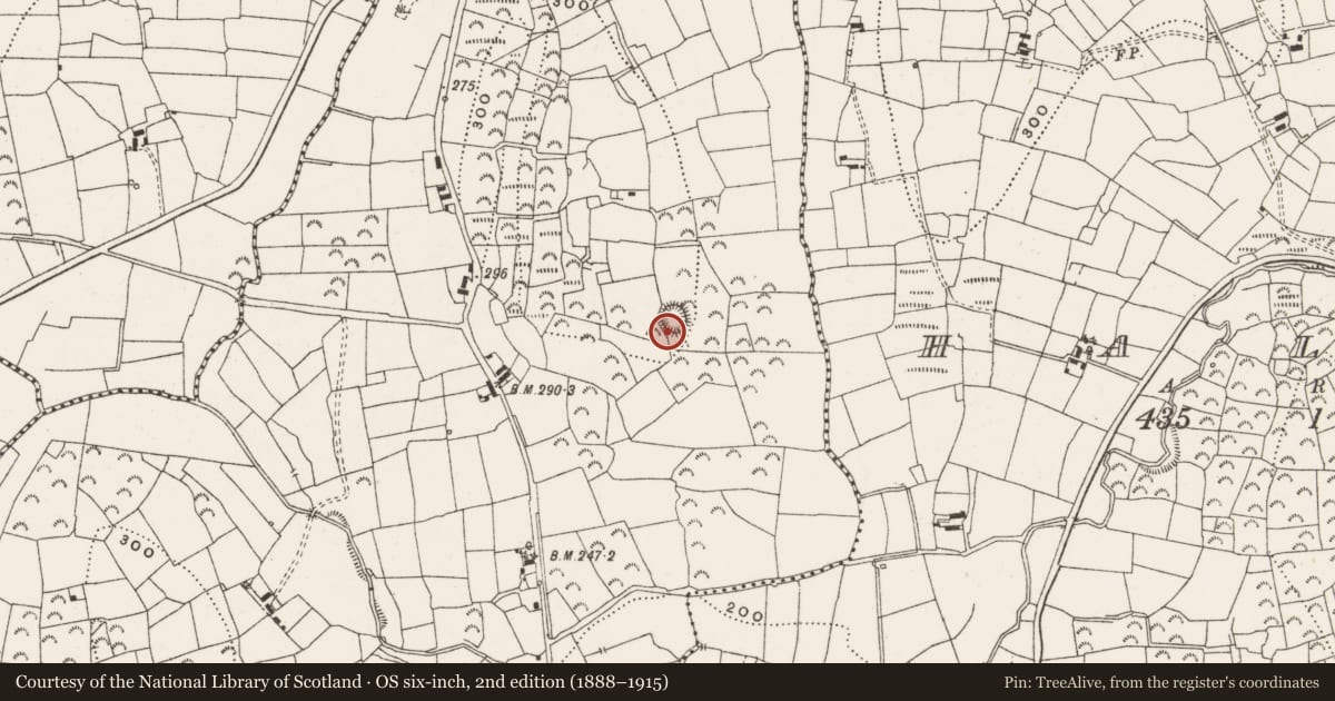 Ordnance Survey six-inch map, 2nd edition (1888–1915) covering the location of Ringfort - rath, Cornagher, County Leitrim, with a pin at the register's coordinates
