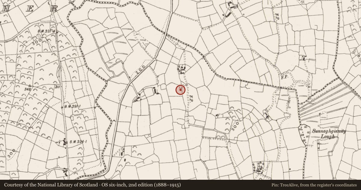 Ordnance Survey six-inch map, 2nd edition (1888–1915) covering the location of Enclosure, Cornulla, County Leitrim, with a pin at the register's coordinates