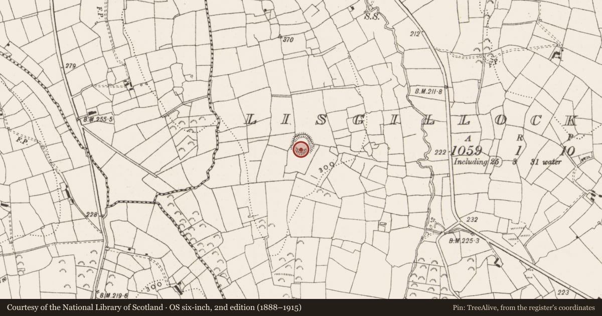 Ordnance Survey six-inch map, 2nd edition (1888–1915) covering the location of Barrow - ring-barrow, Lisgillock Glebe, County Leitrim, with a pin at the register's coordinates