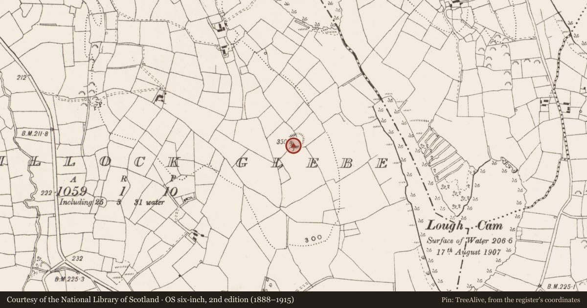 Ordnance Survey six-inch map, 2nd edition (1888–1915) covering the location of Ringfort - rath, Lisgillock Glebe, County Leitrim, with a pin at the register's coordinates