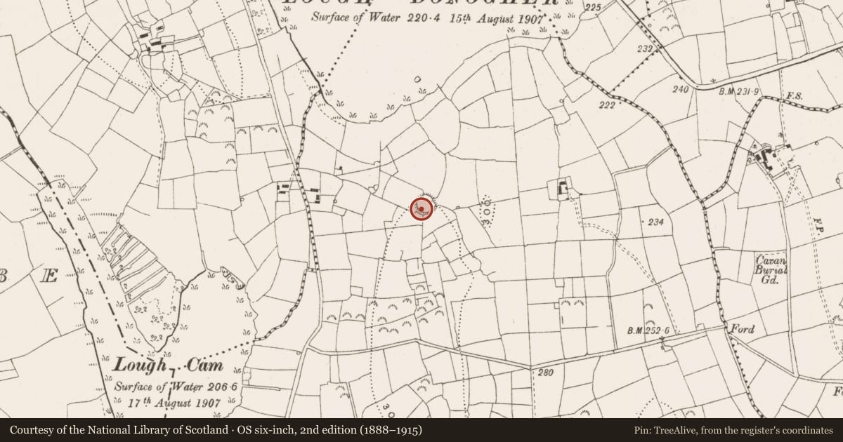 Ordnance Survey six-inch map, 2nd edition (1888–1915) covering the location of Ringfort - rath, Aghalough, County Leitrim, with a pin at the register's coordinates