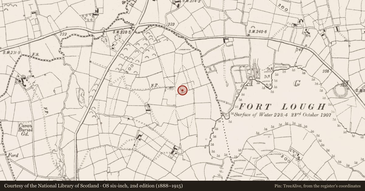 Ordnance Survey six-inch map, 2nd edition (1888–1915) covering the location of Ringfort - rath, Killyfea, County Leitrim, with a pin at the register's coordinates