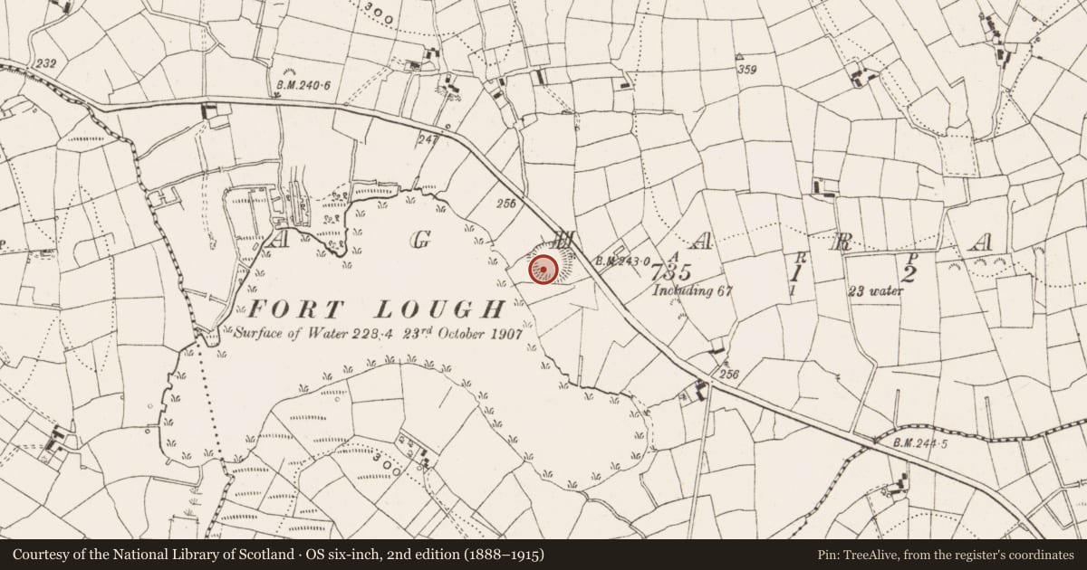 Ordnance Survey six-inch map, 2nd edition (1888–1915) covering the location of Ringfort - rath, Agharann, County Leitrim, with a pin at the register's coordinates
