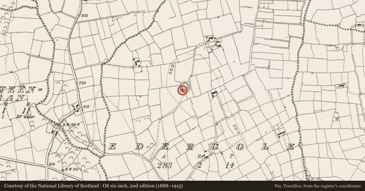 Ordnance Survey six-inch map, 2nd edition (1888–1915) covering the location of Ringfort - rath, Edergole, County Leitrim, with a pin at the register's coordinates