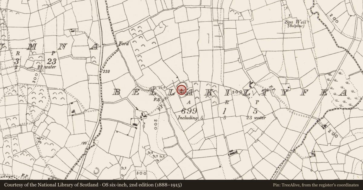 Ordnance Survey six-inch map, 2nd edition (1888–1915) covering the location of Ringfort - rath, Bellakiltyfea, County Leitrim, with a pin at the register's coordinates