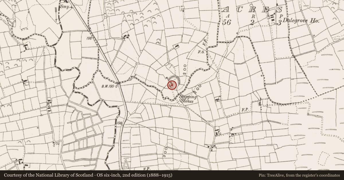 Ordnance Survey six-inch map, 2nd edition (1888–1915) covering the location of Ringfort - rath, Sunnaghconner, County Leitrim, with a pin at the register's coordinates