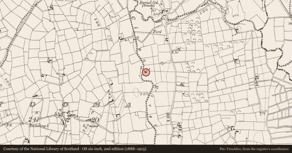 Ordnance Survey six-inch map, 2nd edition (1888–1915) covering the location of Ringfort - rath, Drumshanbo North, County Leitrim, with a pin at the register's coordinates