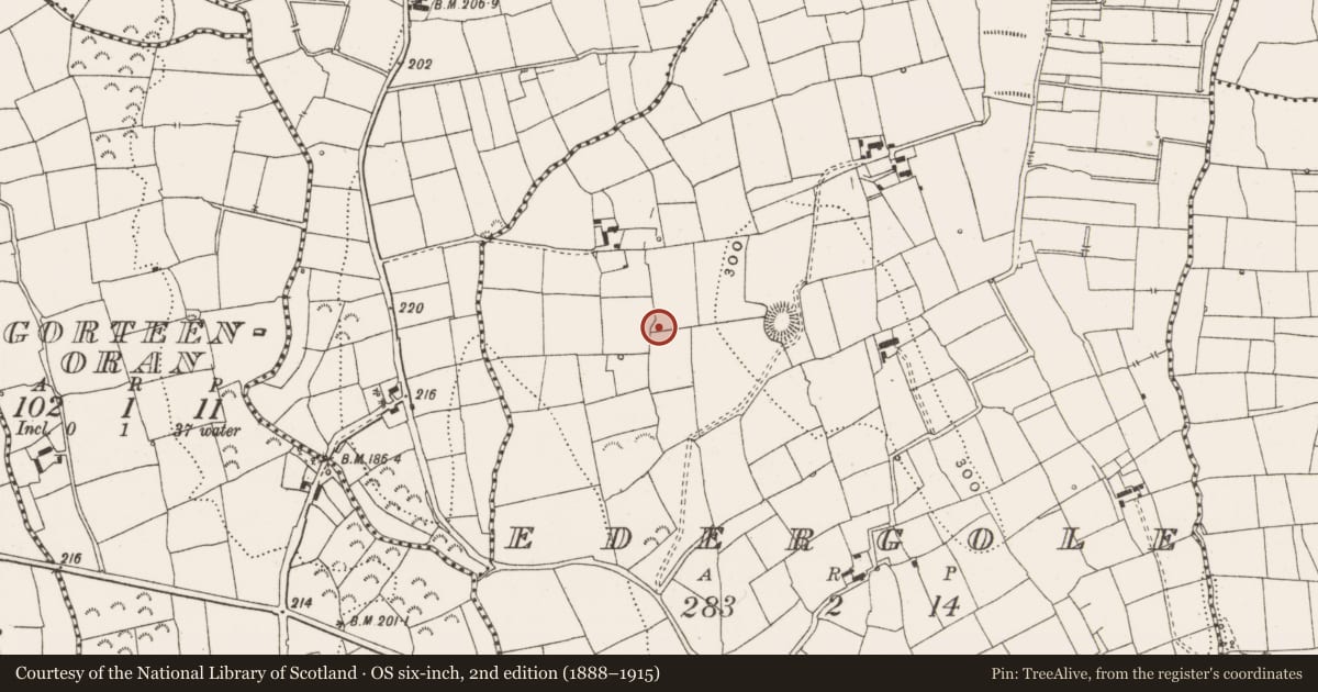 Ordnance Survey six-inch map, 2nd edition (1888–1915) covering the location of Ringfort - rath, Edergole, County Leitrim, with a pin at the register's coordinates