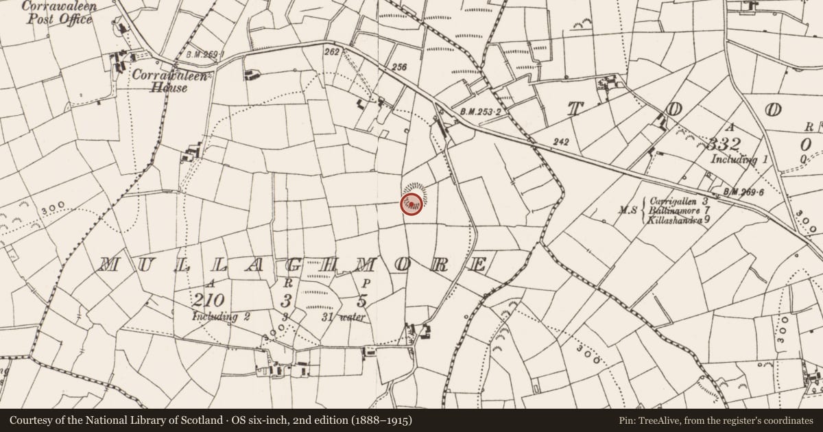 Ordnance Survey six-inch map, 2nd edition (1888–1915) covering the location of Ringfort - rath, Mullaghmore, County Leitrim, with a pin at the register's coordinates