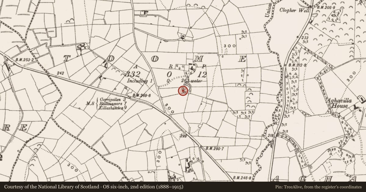 Ordnance Survey six-inch map, 2nd edition (1888–1915) covering the location of Ringfort - rath, Toome, County Leitrim, with a pin at the register's coordinates