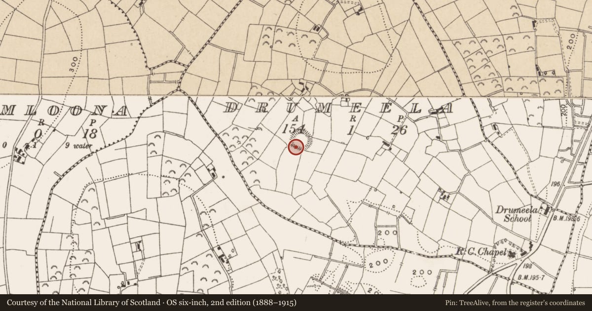 Ordnance Survey six-inch map, 2nd edition (1888–1915) covering the location of Ringfort - rath, Drumeela, County Leitrim, with a pin at the register's coordinates